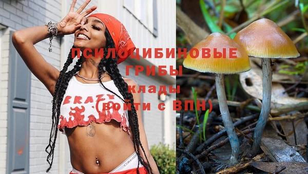 спайс Мегион