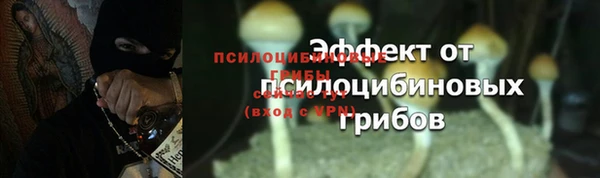 мяу мяу мука Медвежьегорск