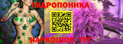 крисы Апрелевка