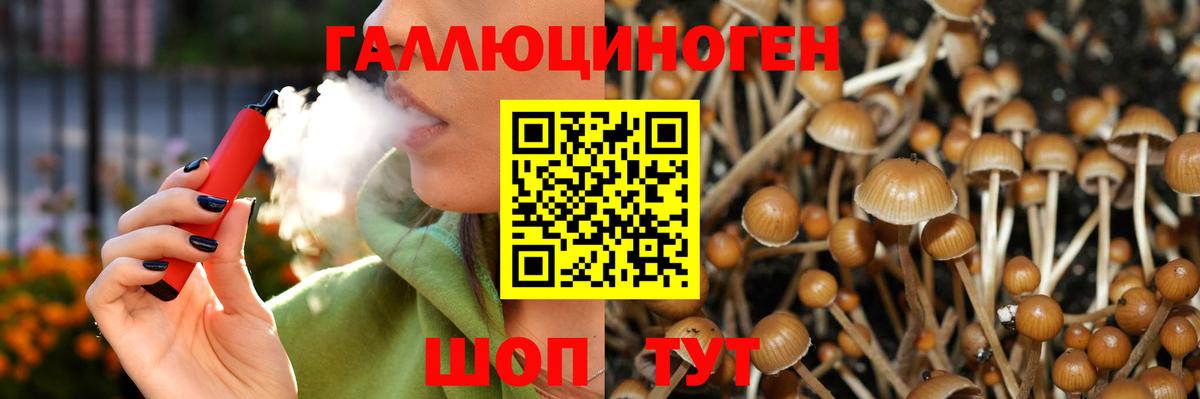 Михайловка  Псилоцибиновые грибы прущие грибы  Вход с VPN 
