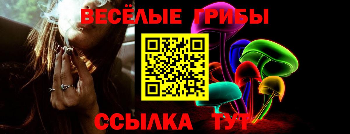 Псилоцибиновые грибы Cubensis  Михайловка  Галлюциногенные грибы мицелий 